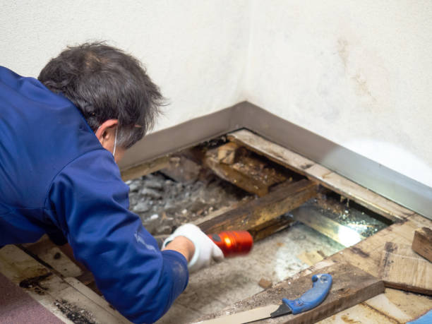 Water Damage Restoration in Beverly, OH
