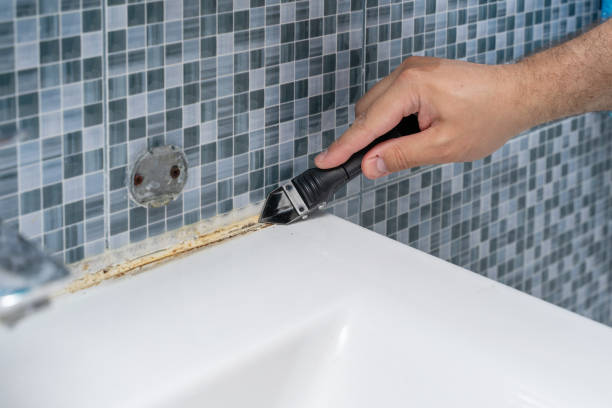 Best Black Mold Removal  in Beverly, OH