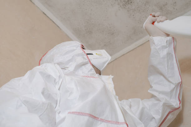 Best Mold Remediation  in Beverly, OH