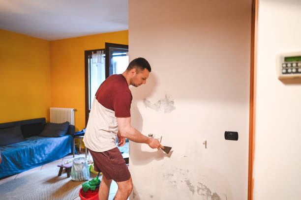 Best Mold Cleaning Services  in Beverly, OH